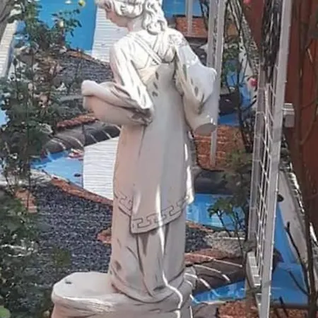 Florentina Villa Brasov