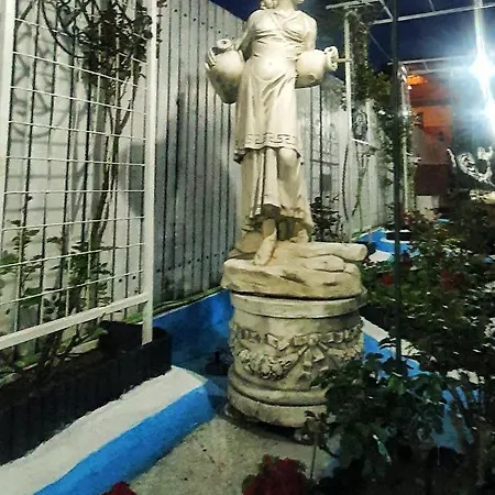 Florentina Villa Brasov